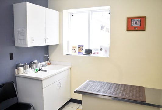 examination room with white cabinets: Veterinary Photos in Arnold
