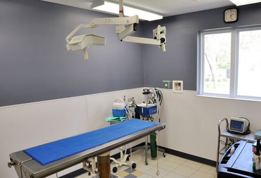 examination room with blue table: Veterinary Photos in Arnold
