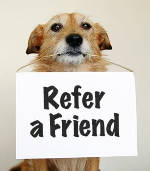 Dog holding a sign that says "Refer a Friend": Client Referral in Arnold